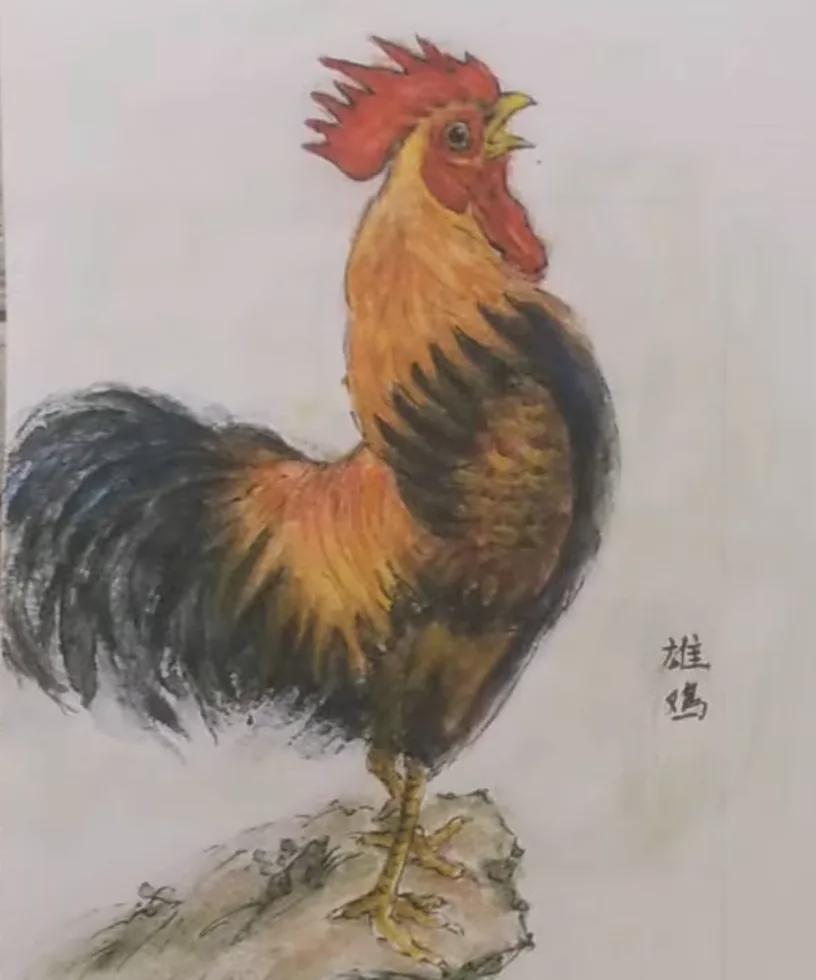 生肖鸡










一位朋友，
始终在暗处默默支