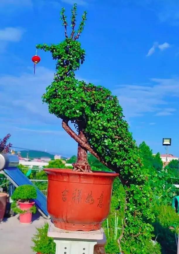 秋风清，明月明，人间至味是团圆。月已圆，杯倒满，一杯敬故乡，一杯敬远方，惟愿年年