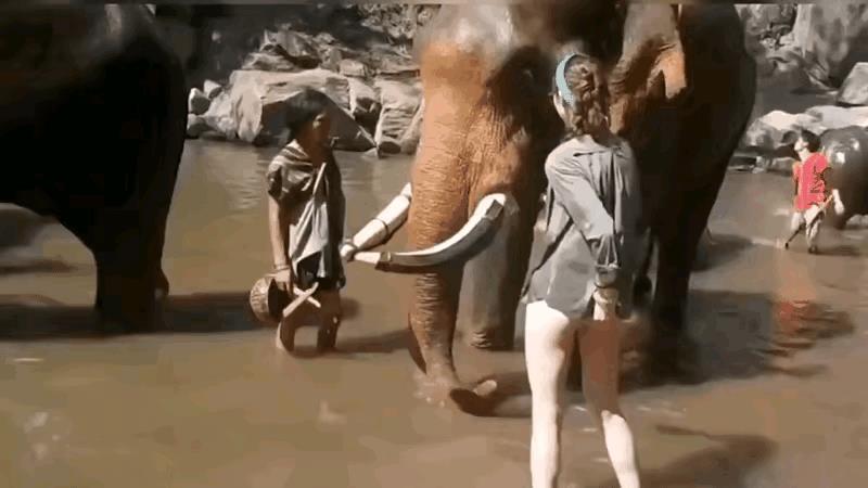 怎么突然就起飞了[石化]