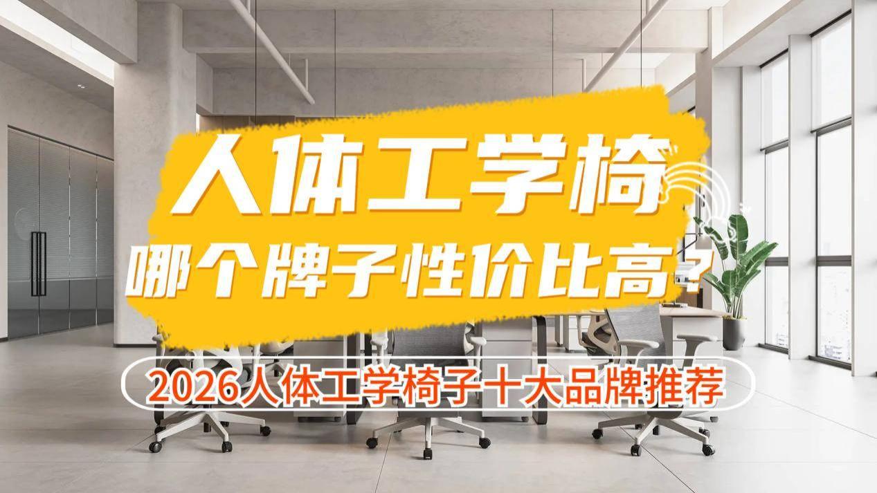 人体工学电脑椅哪个牌子性价比高？人体工学电脑椅子十大品牌推荐