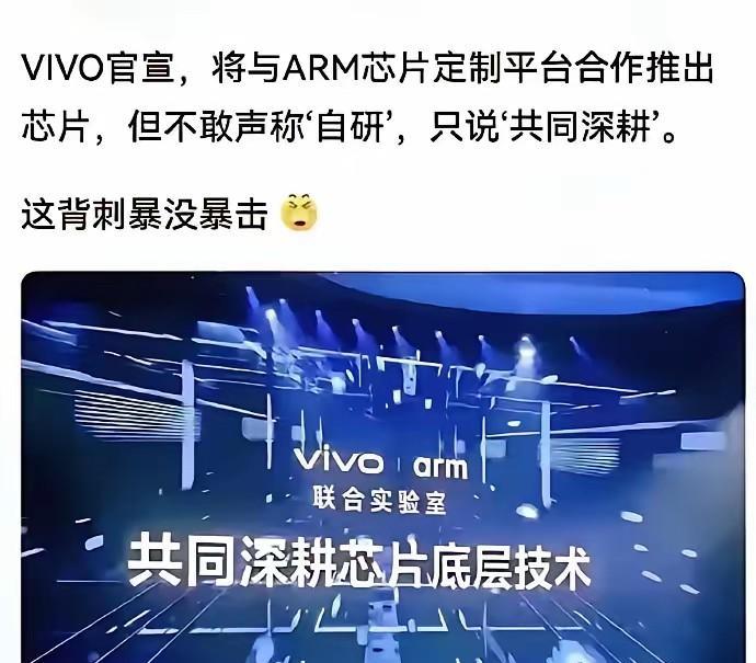 小米自研的玄戒01芯片发布后，Vivo也官宣了自己的芯片，不过不敢说自研，只说和