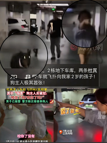 两只杜宾犬的嚣张女主人已经找到，
目前官方的处理结果是
已经得到妥善处理，本人觉