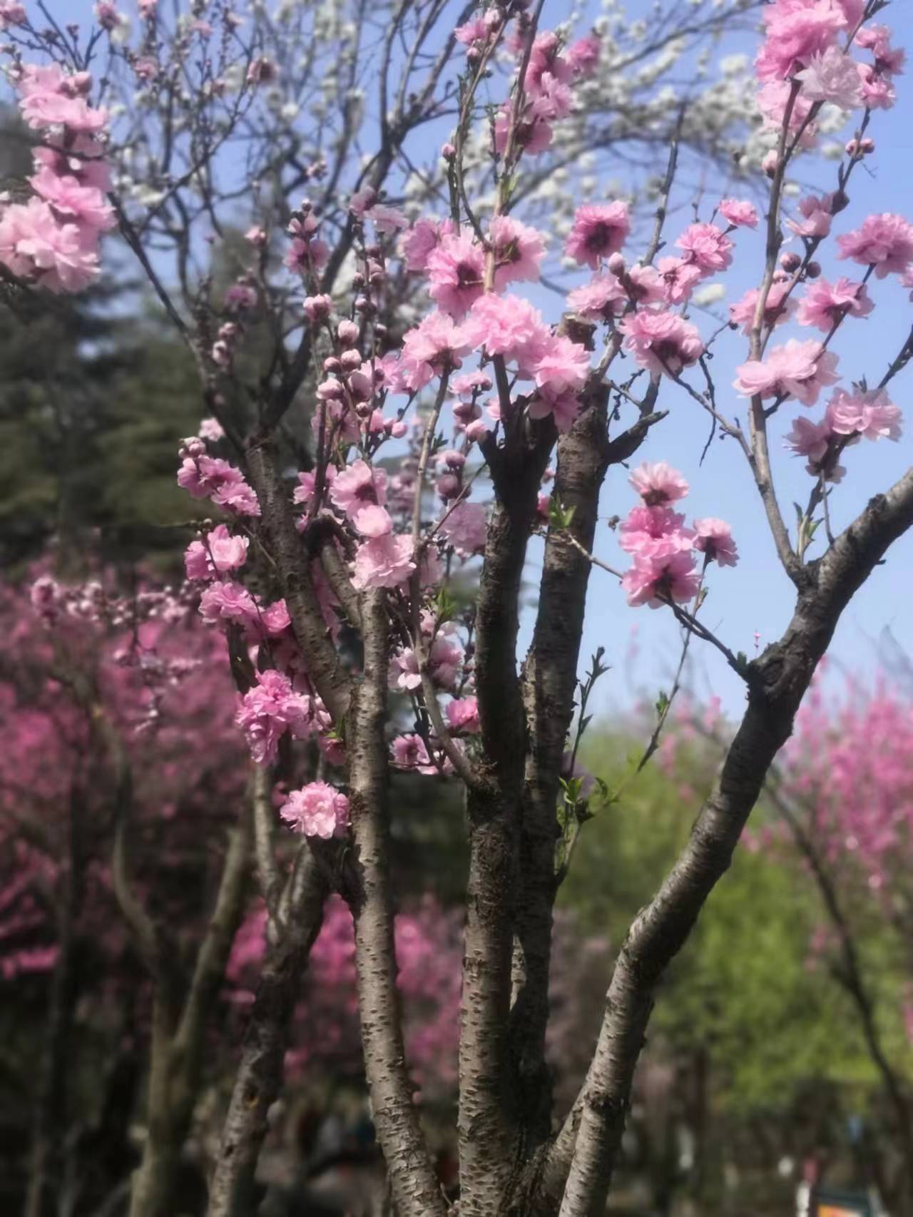 你让世上所有情话都若有所指