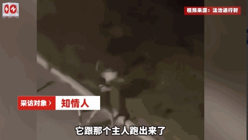 太缺德了！”7月8日，甘肃兰州，一对情侣在半夜一点骑着电动车带着一只小白狗，下一