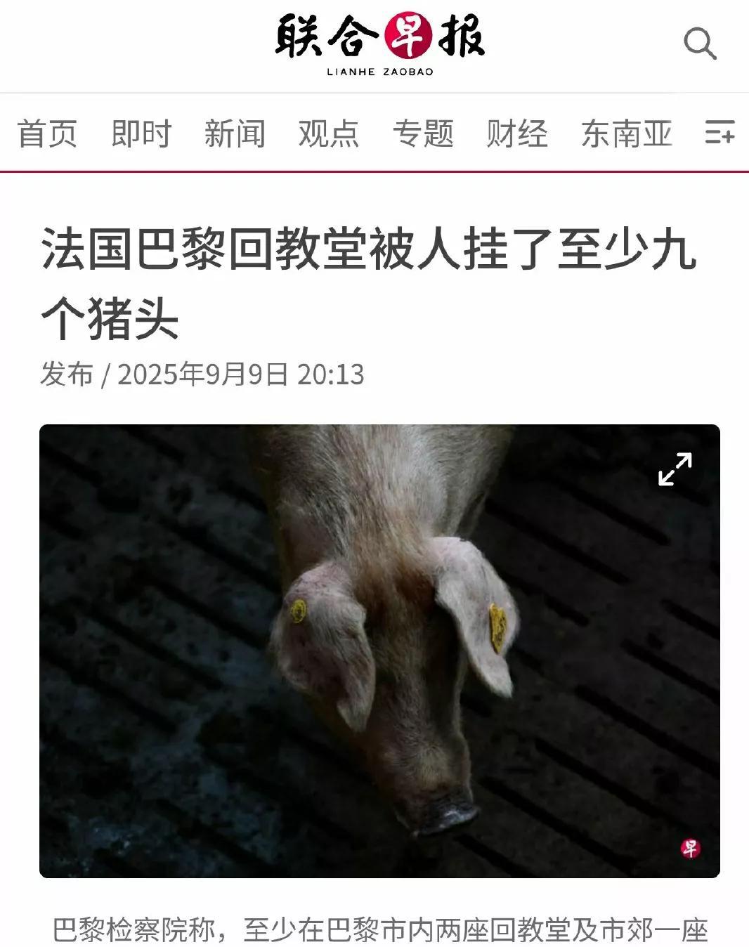 伤害性不大，侮辱性极强。
法国清真寺被人挂猪头。
太过份了！