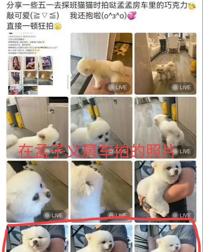 7月30日，孟子义经纪人为把陌生人带入孟子义房车向大家道歉，起因是孟子义的一个粉
