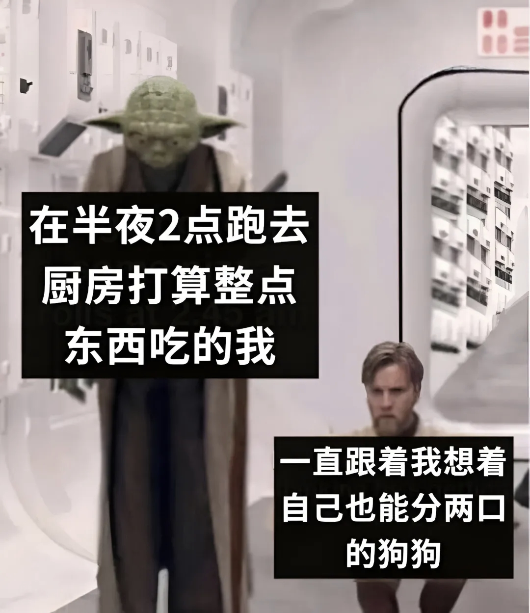 想着自己也能分两口的狗狗