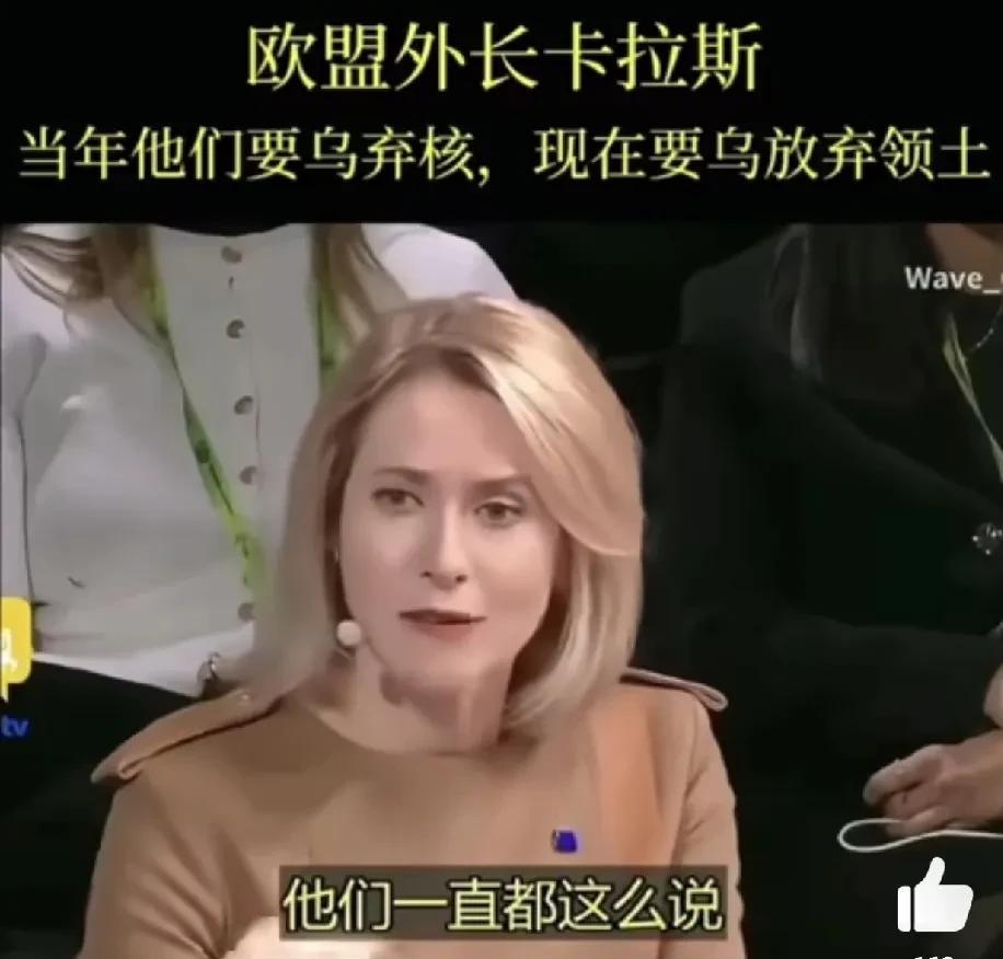 欧盟外长卡拉斯：美国当年要求乌克兰放弃核武器，现在又要乌克兰放弃主权领土！侵略就