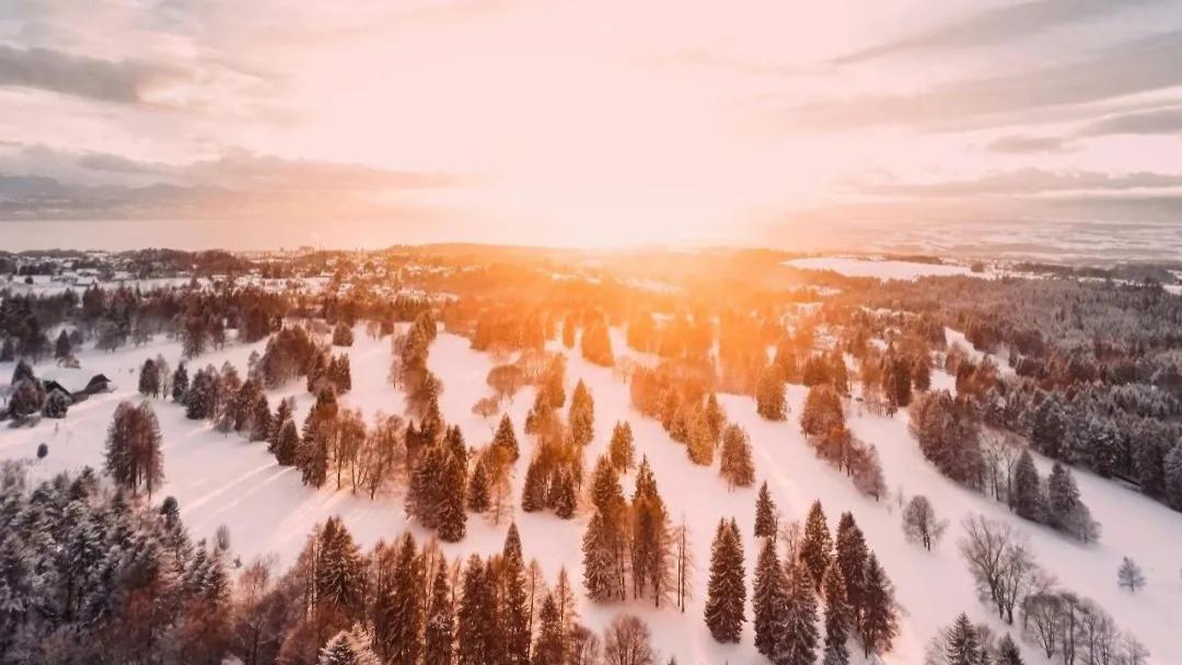 白山黑水铸忠魂 | 江园