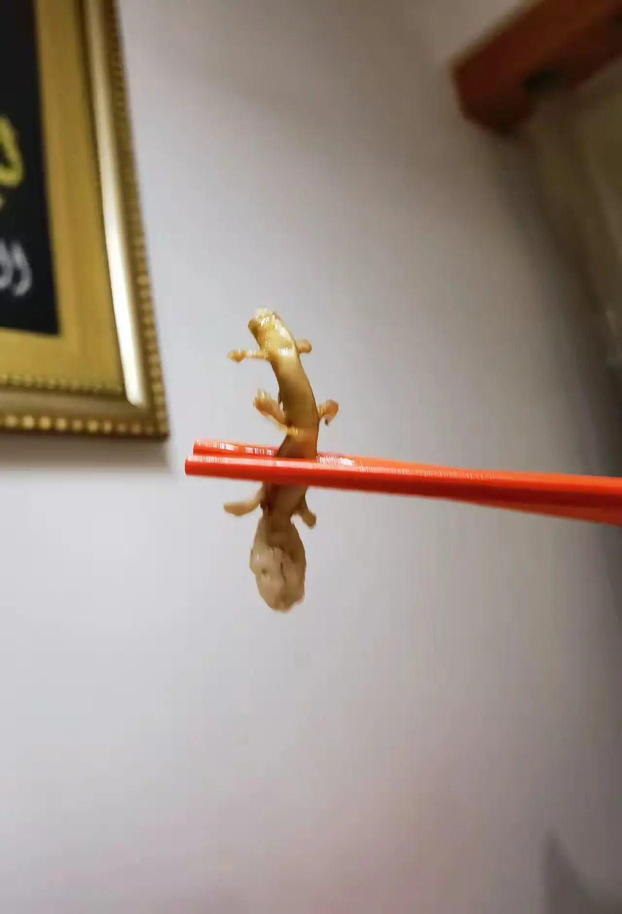 这个东西居然能吃？ 大家猜猜这是什么东西？