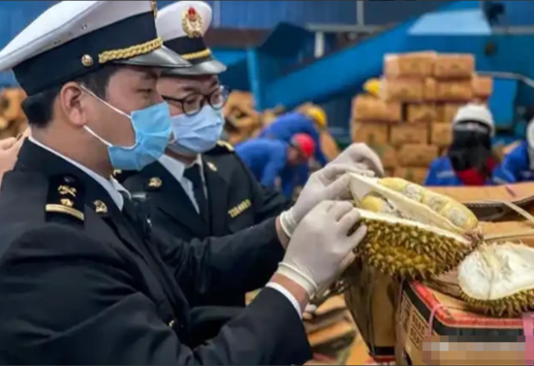 泰国榴莲这事越挖越吓人！咱中国人爱吃榴莲，可谁能想到，这泰国榴莲里竟藏着要命的东