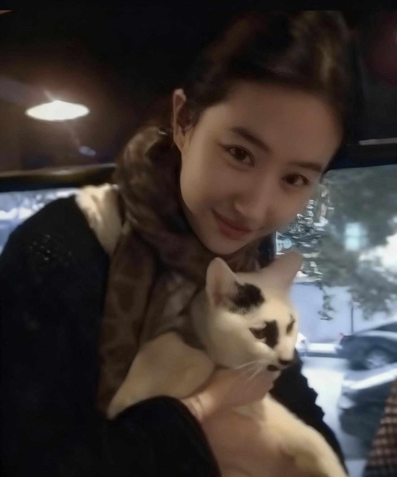 加菲猫，