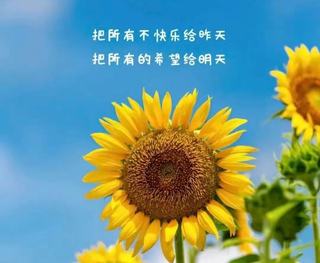 拒绝人感觉真是爽爆了！昨天下午，工作正忙，18岁的侄儿微信找我。



我心里咯