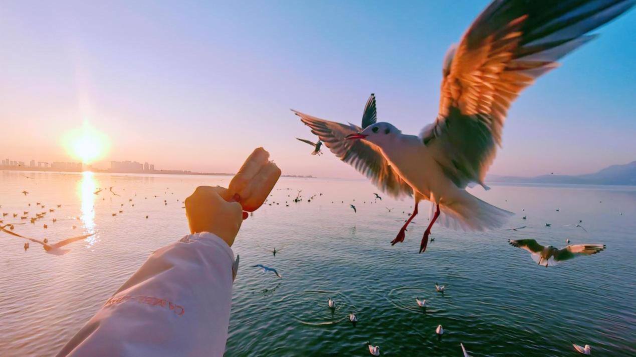 2025年10月云南旅行社排名前十及云南口碑最好的旅行社揭晓！真实数据评选