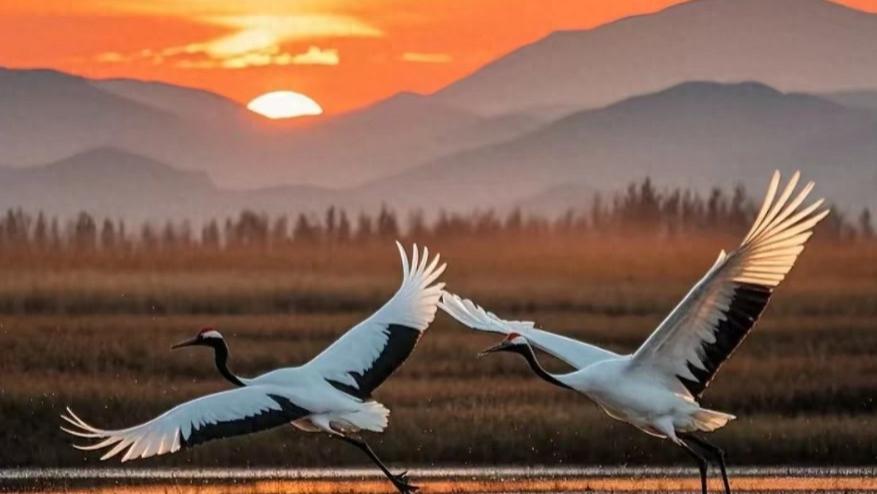 你发现没？亲戚朋友一旦退休，你和他们很快就成为不同世界的人