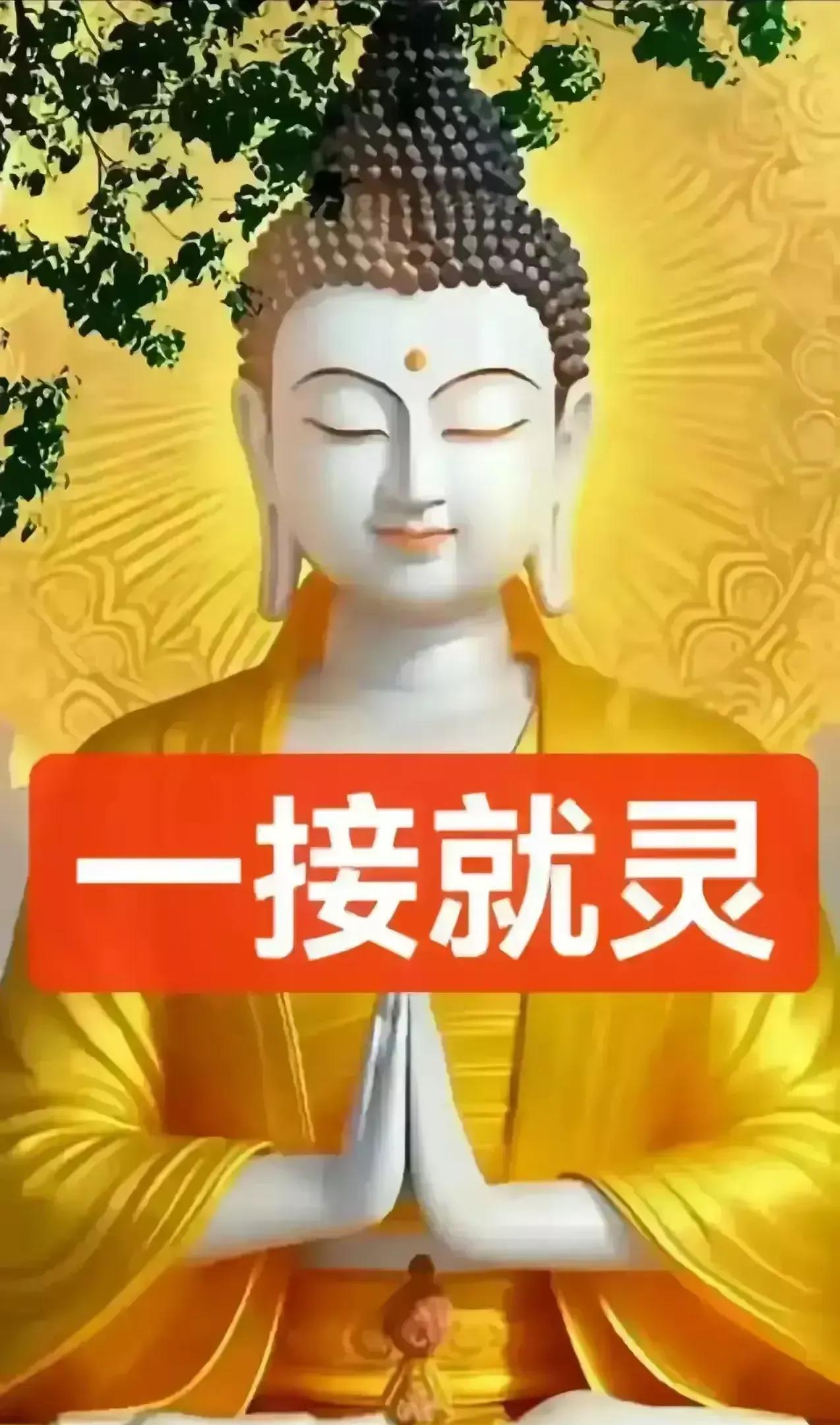 亲爱的家人们，喜庆的好事正源源不断地向你们走来，你准备好迎接了吗？在我看来，生活