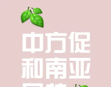 空战大胜后，中国对印巴说掏心窝子的话





---





要说最近国际上