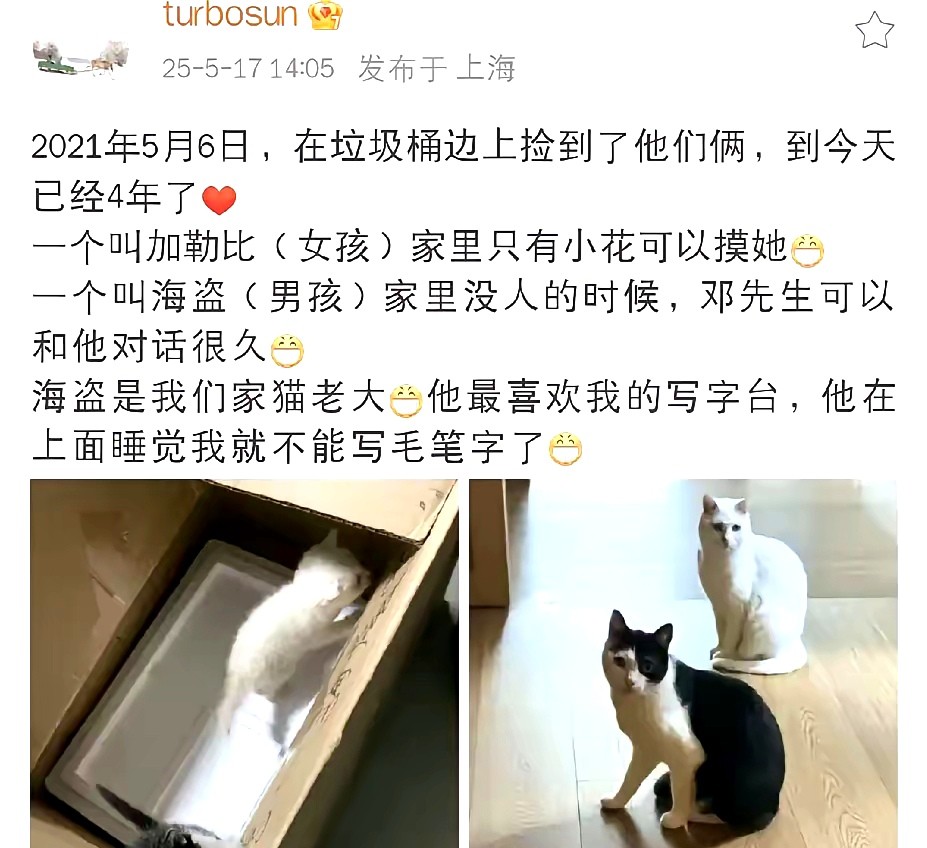 孙俪晒出两只收养的流浪猫日常，透露加勒比只亲近女儿小花，海盗则和邓超特别投缘。这