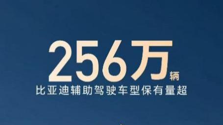 256 万 + 用户共同选择，比亚迪辅助驾驶跑出加速度