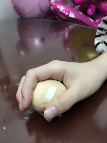 见蛋了就忍不住想孵蛋
