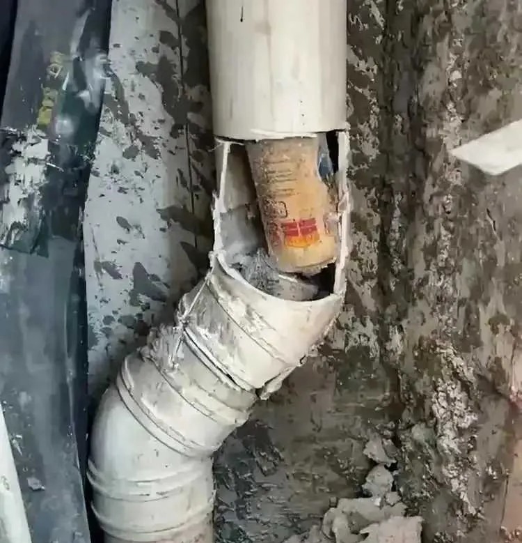 楼上干出如此勾当？怎么办