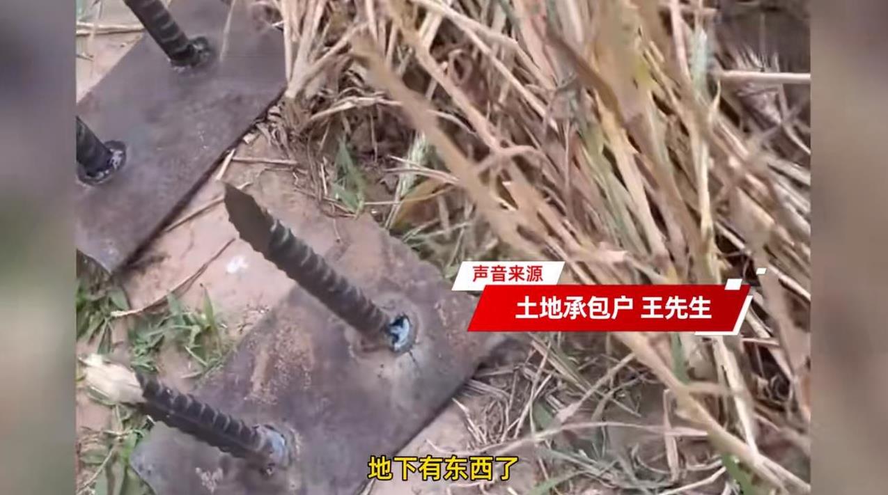 “严查到底！”6月5日，河北邯郸，一位农机手在使用收割机帮村民割麦子时，收割机刀