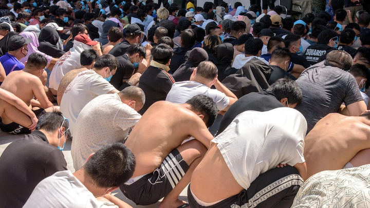 东南亚诈骗园区大肆实施“性勒索”，全球受害儿童激增