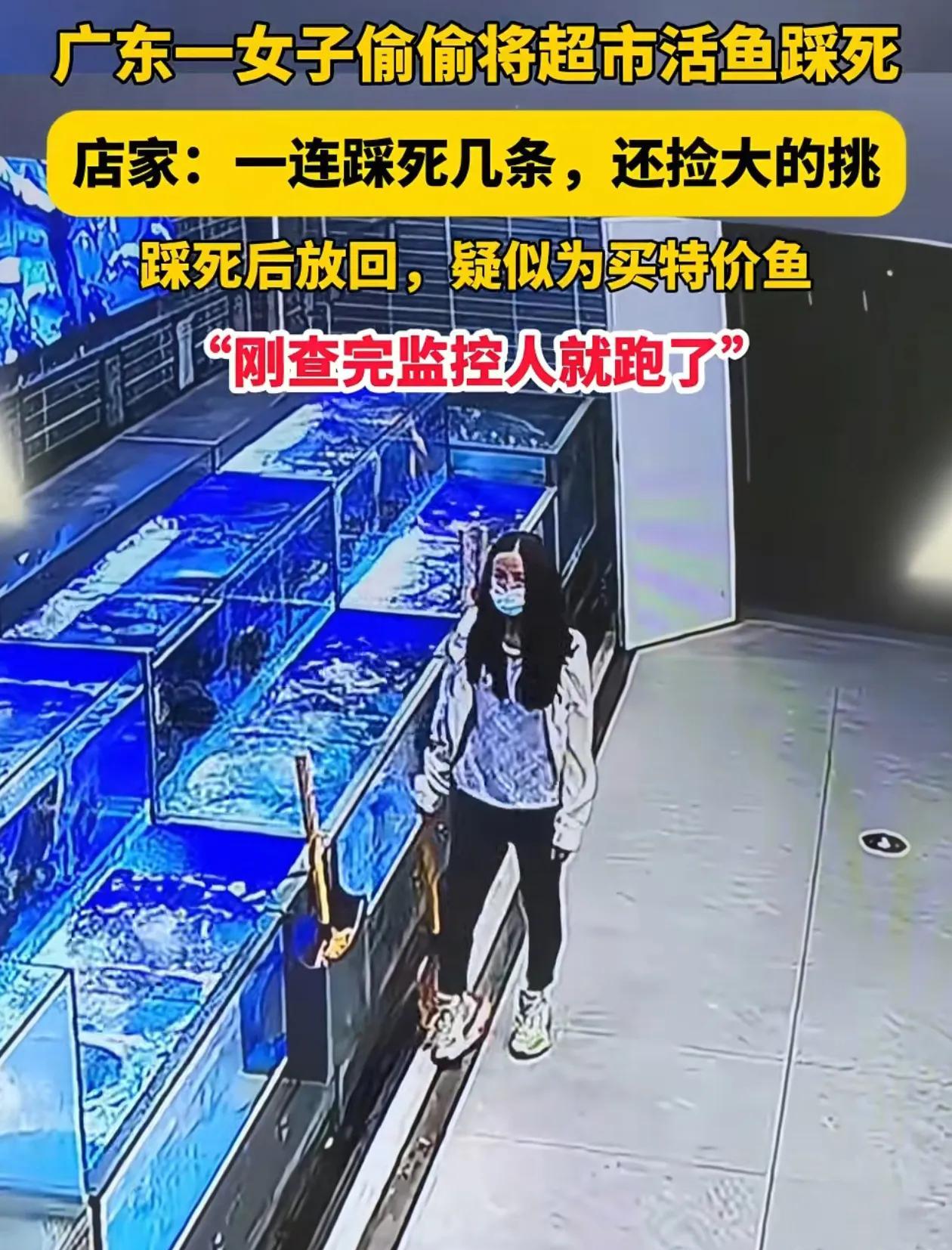 其实这种人也挺可怜的，为了占点小便宜脸都不要了，近日，广东一女子到超市水产区，精