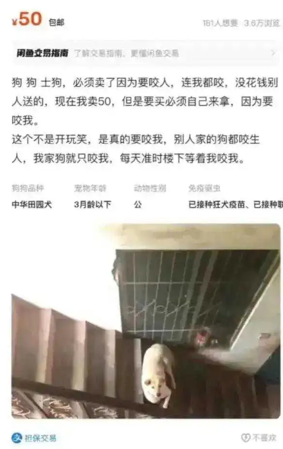 闲鱼上浏览到的，笑死了