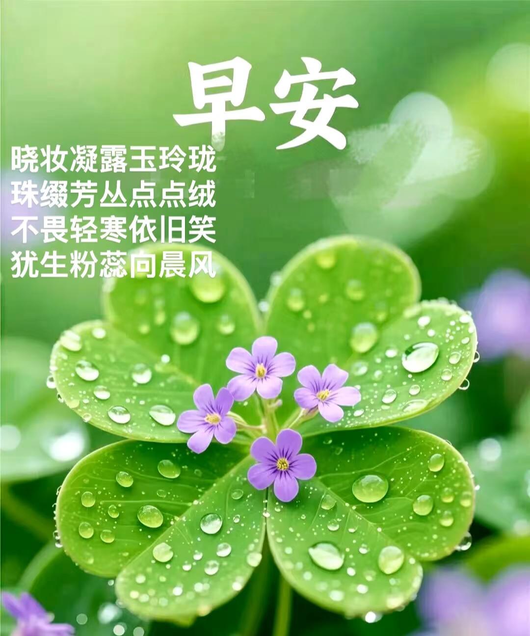 早上好，今天是9月24日星期三。
天津女排土耳其拉练第二场比赛的正式报道已经出来