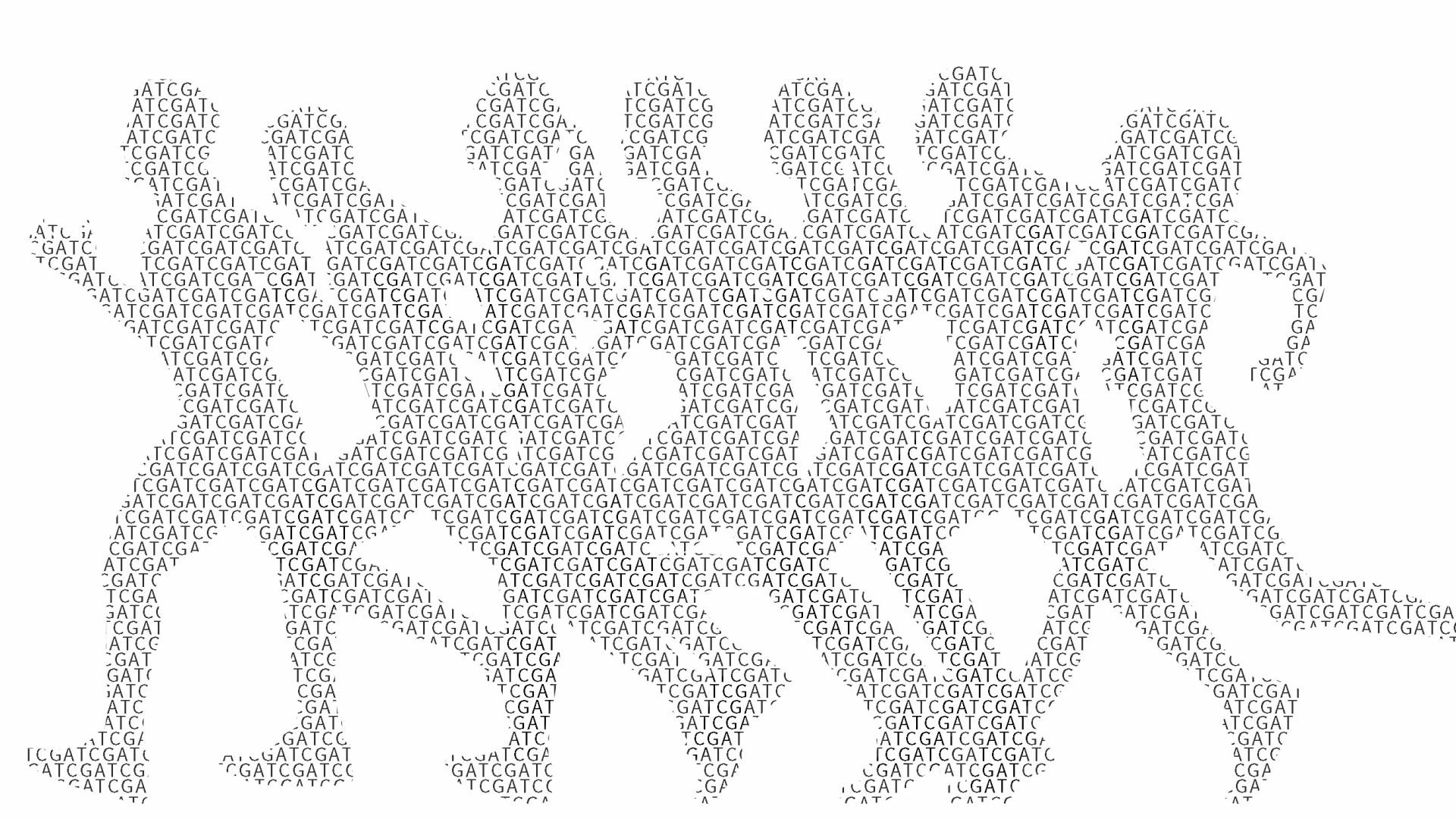 常染色体隐性肢带型肌营养不良症2h型基因检测机构解释