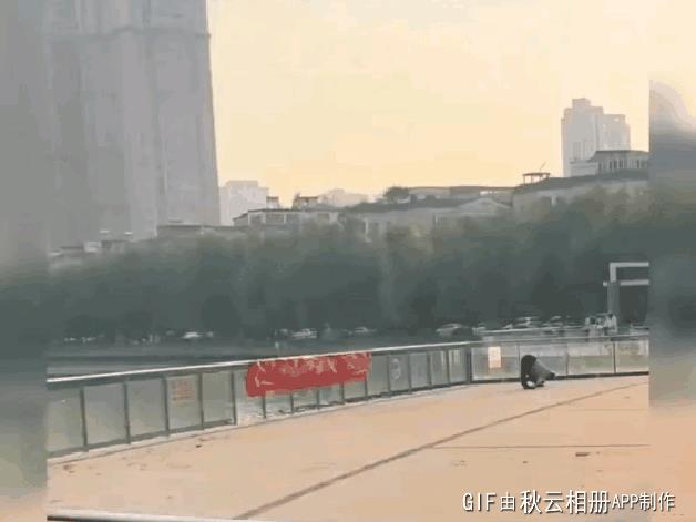 在公园偶遇一大爷锻炼身体，柔韧性比专业人士还强，厉害