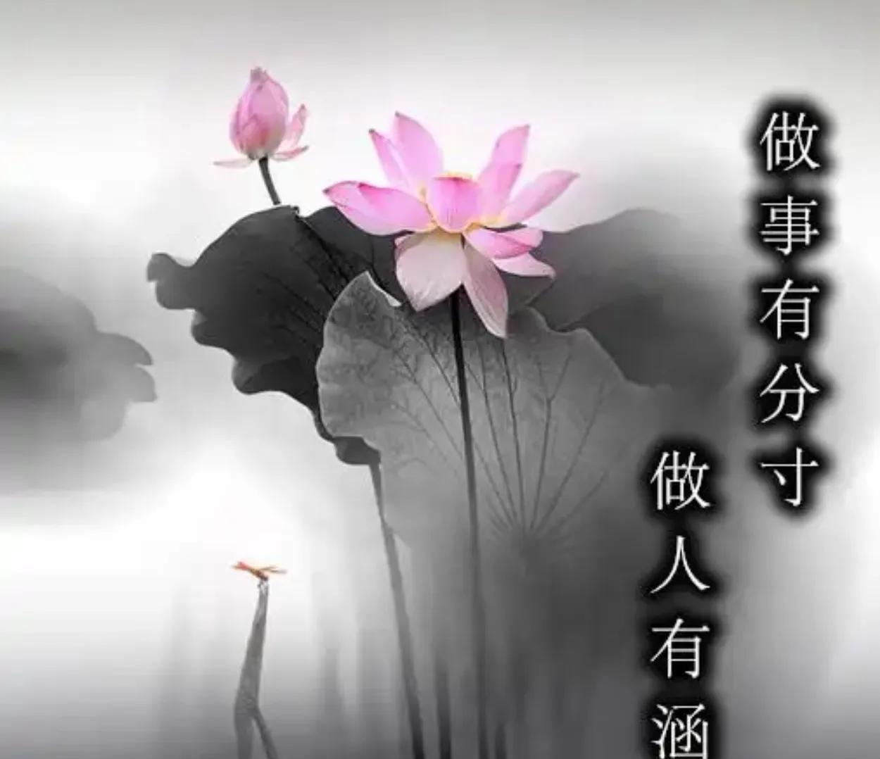 #你对人生有哪些感悟#人要不断学习，增加技能，必有所获。将心比心，谦虚谨慎。不要