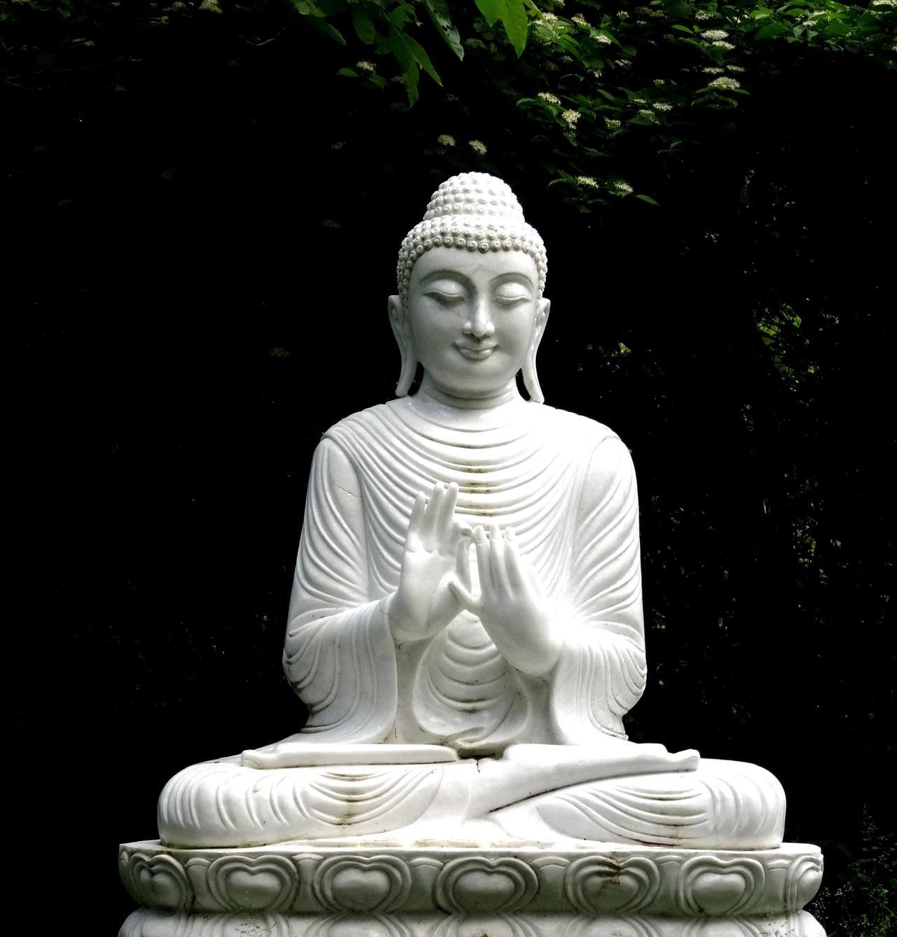 认清自己的因缘，把握当下的能力，在因上努力，在果上随缘，做自己的摆渡人。