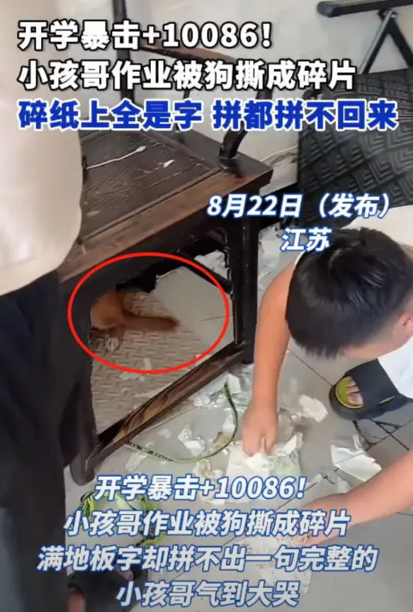 “笑麻了！”8月21日，江苏徐州，一女子睡觉时听到客厅传来动静，于是出来查看情况