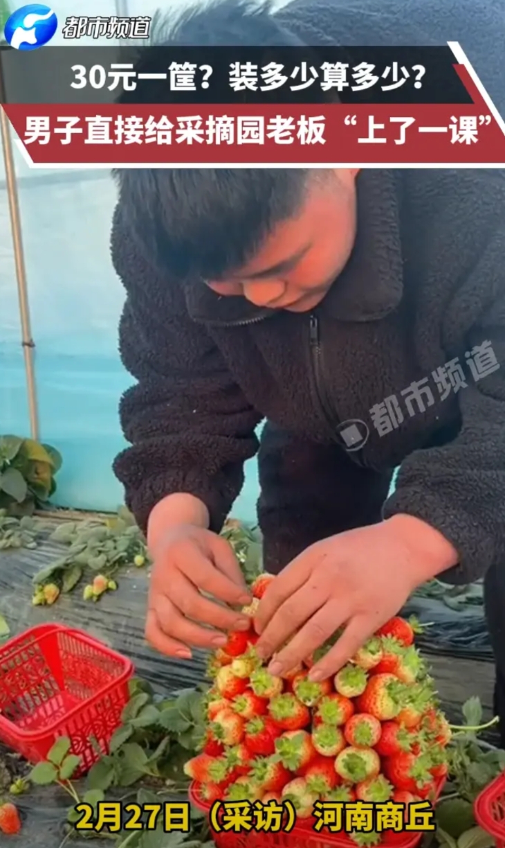 “这夫妻两人真是个人才”，得知30元可摘一筐草莓，两人决定给草莓园老板好好上一课