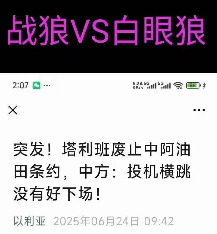 雄而不霸的后果。老外的契约精神真是很差，合则用不合则弃，太容易吃亏了！