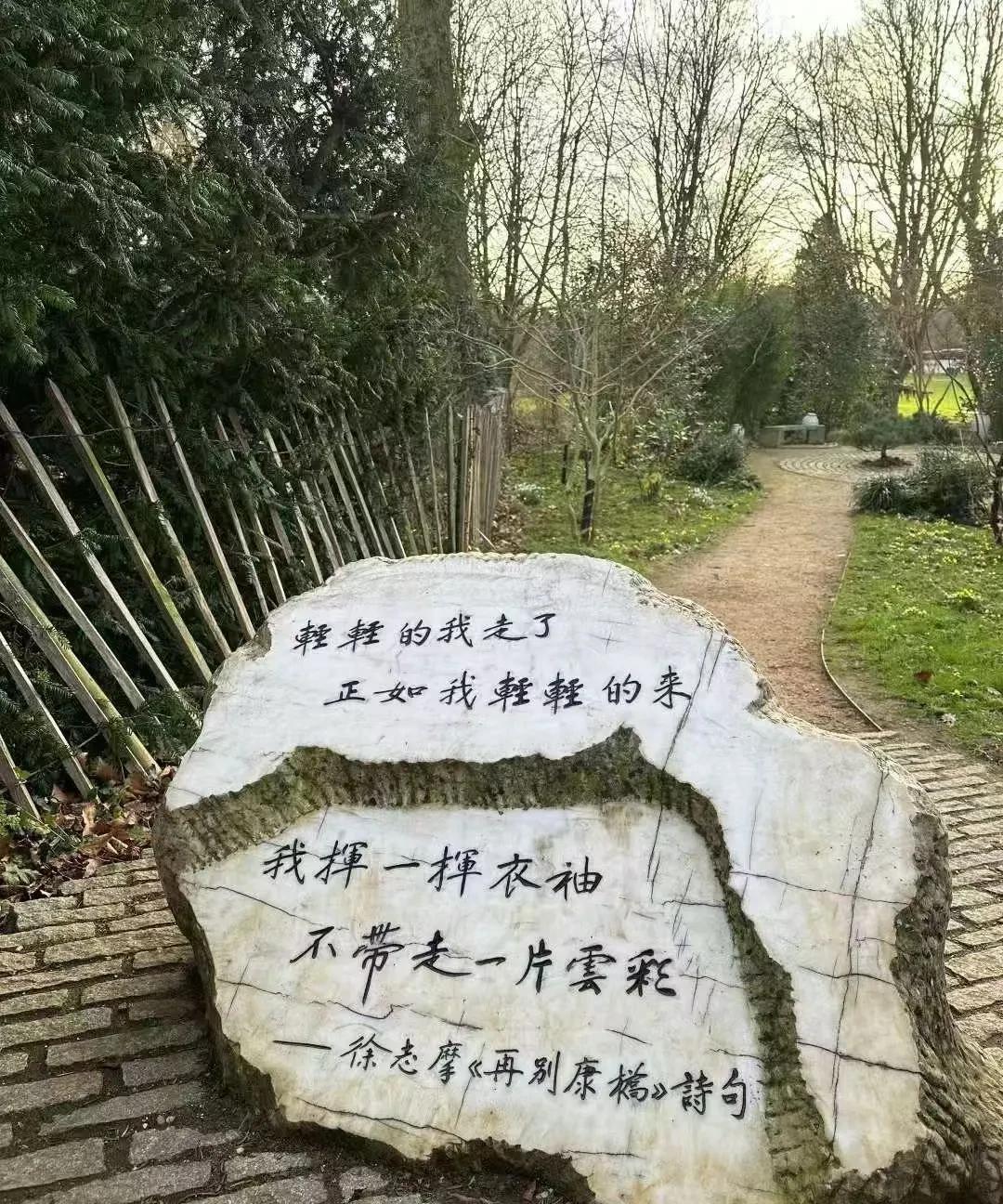 满分作文——《青春该有奋斗的模样》
     青春不是橱窗里精心包装的展品，也不