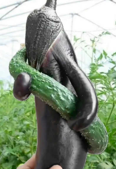 这注定是一场跨越种族的爱恋？ ​​ ​​​