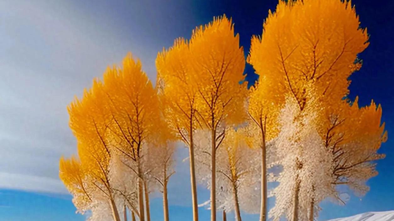 让内心静下来，让心情好起来，让心态变得越来越平和