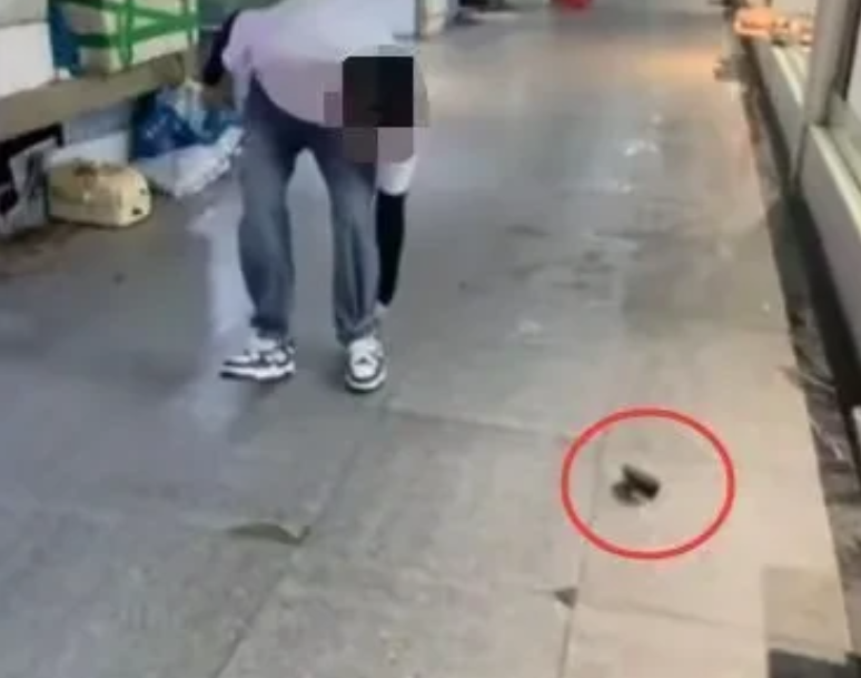 闹大了！湖北武汉，男子花了33元在市场买鱼，因不让鱼贩进行宰杀，没想到把鱼贩惹毛