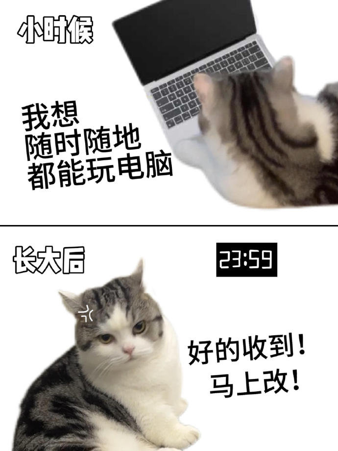 小时候那些想做的事情，长大也都会做了