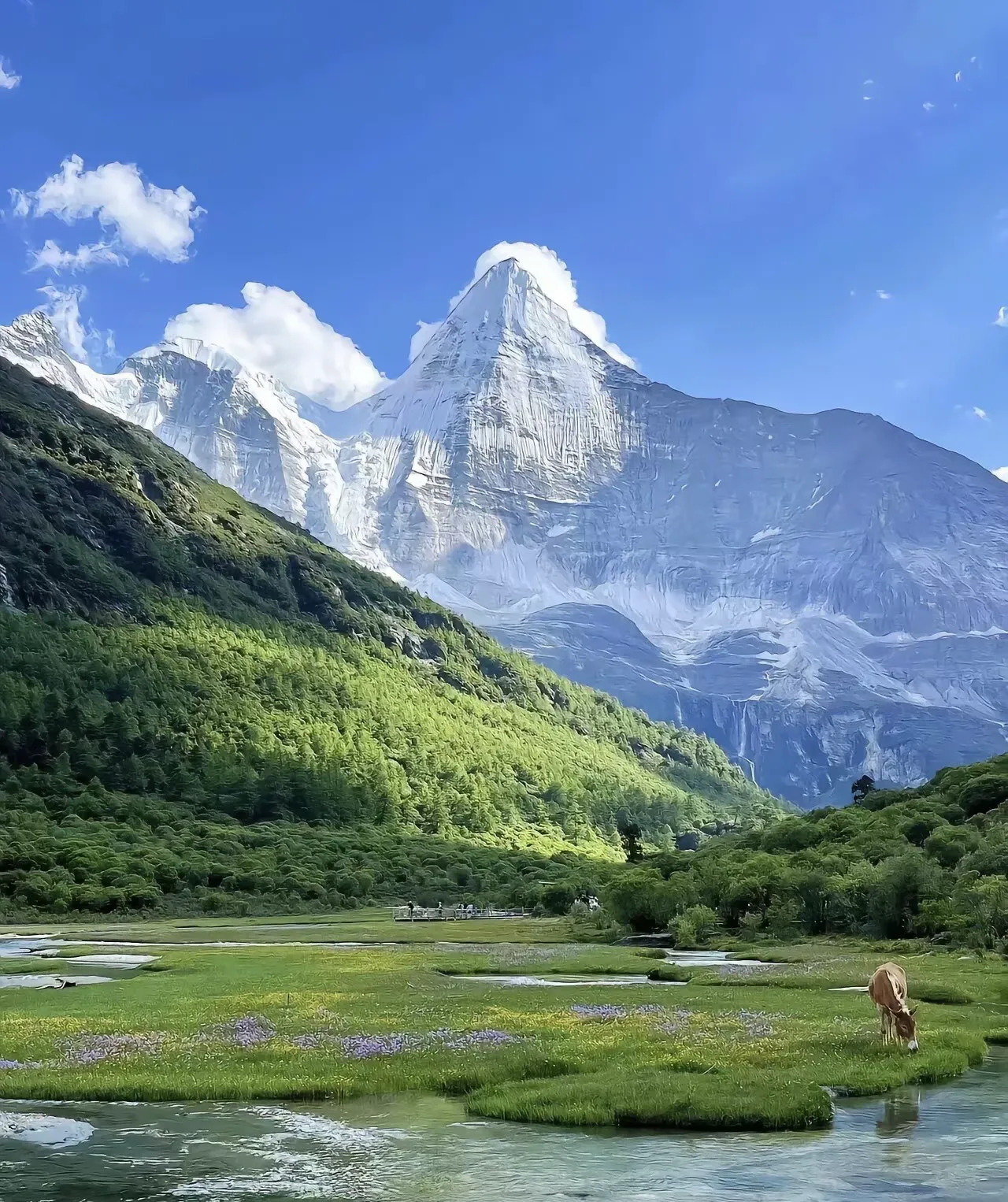 Z布鞋家事真热闹，六娃信息量大











天呐！Z布鞋家的大瓜简直炸