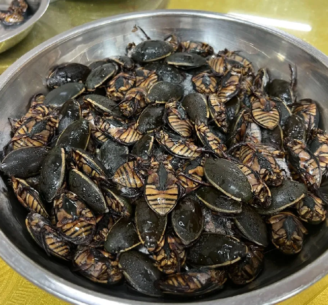 这道经典美食来自哪里？叫什么呀，看着就有食欲
