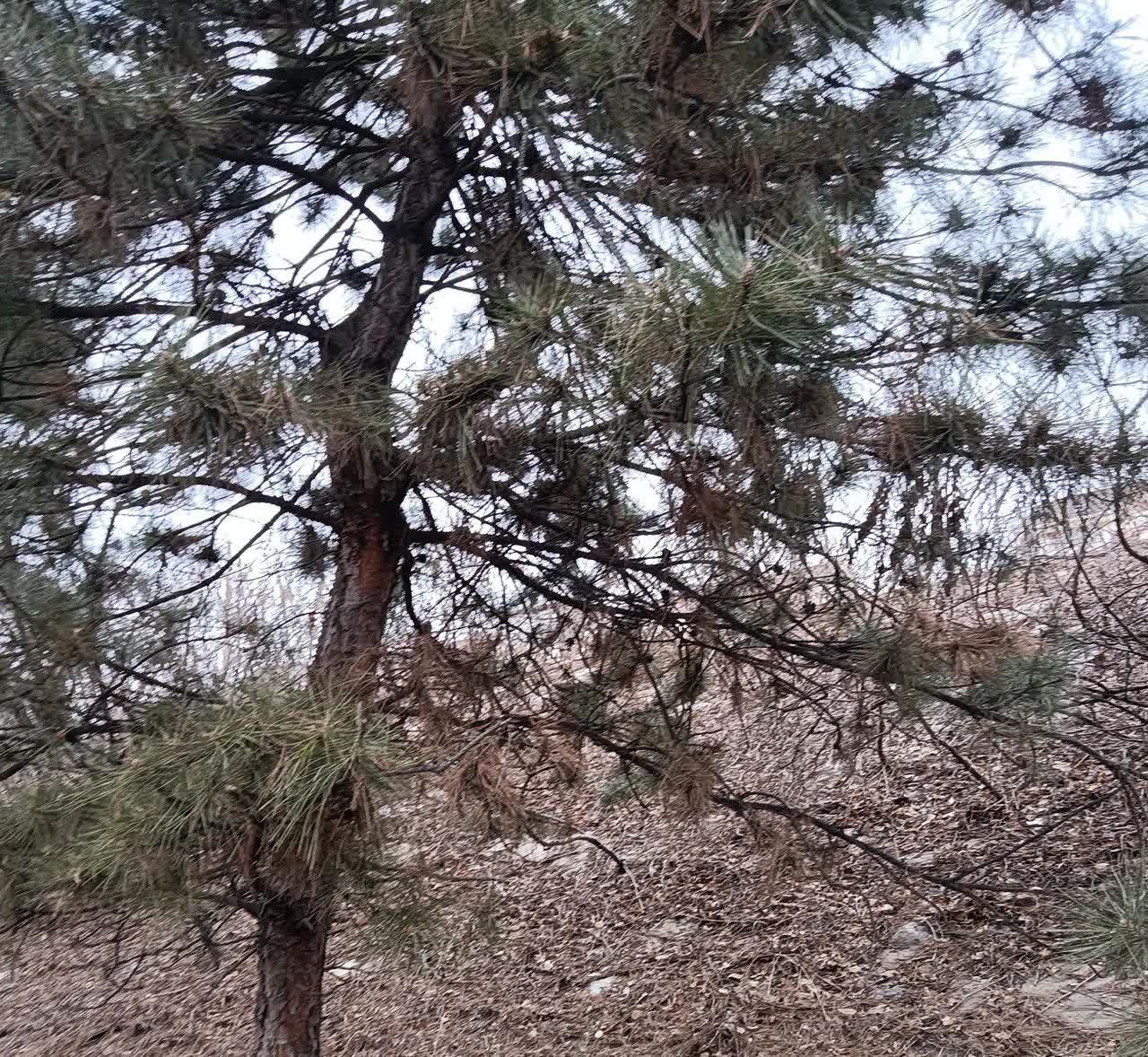 一次朋友的聚餐上，认识了一位在高速工作了十五年的交警朋友，他告诉我们，在高速上，