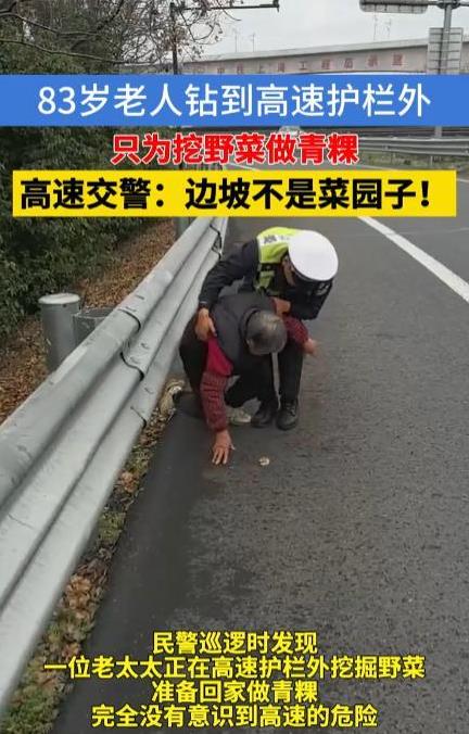 “高速不是你家菜园子！”3月5日，浙江杭州高速公路附近，一位83岁的老人竟然钻过