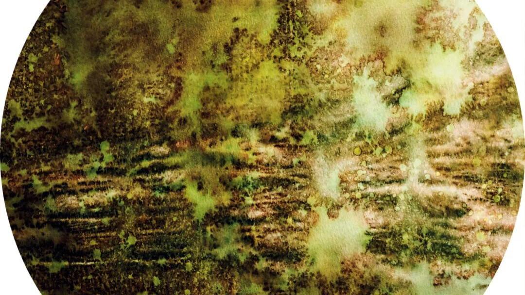 刘鹏｜丙午马年当代名家迎春作品选