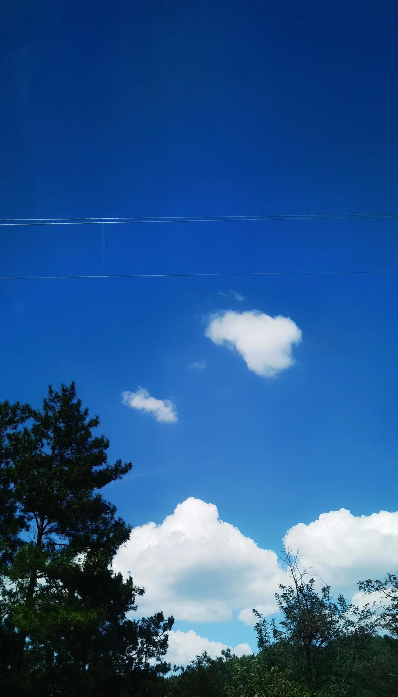 #可以分享一张田园风光的照片吗#那是无忧的童年啊
