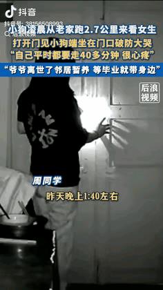 看了后浪视频6月11日发的：“爷爷去世五年，狗狗居然走了近3公里，找到了小主人”