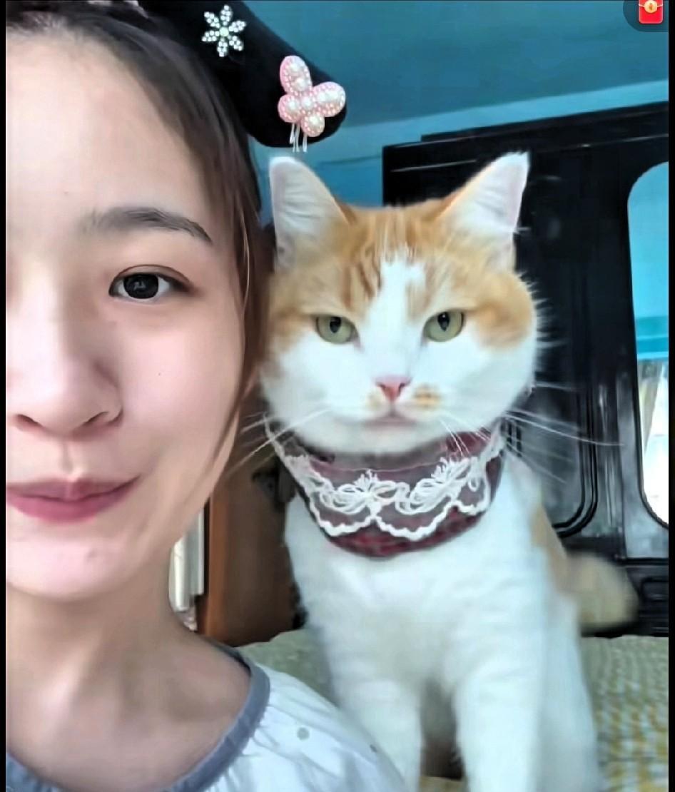 谁能懂这份心动啊？真的被这只小猫咪的萌态击中了。在万千生灵里，我对猫咪向来是毫无